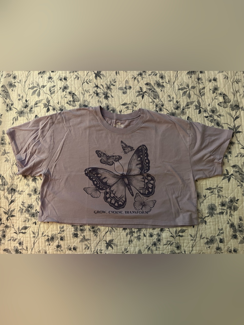 Hollister Purple Butterfly Graphic Crop Tee Size M
